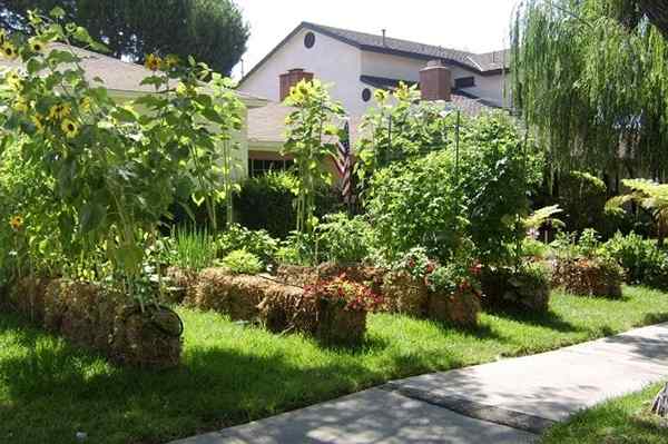 Como fazer um plantador de fardos de palha