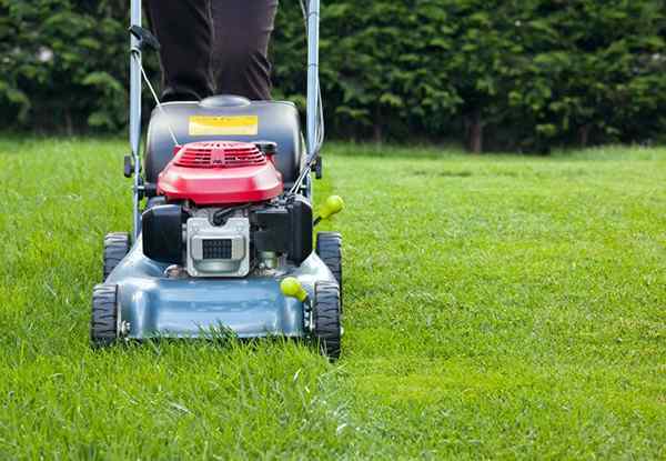 Como cortar um gramado da maneira certa