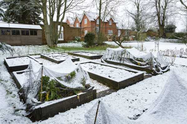 Cómo preparar su jardín para el invierno