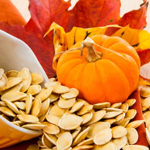 Cómo guardar semillas de calabaza para plantar en la primavera