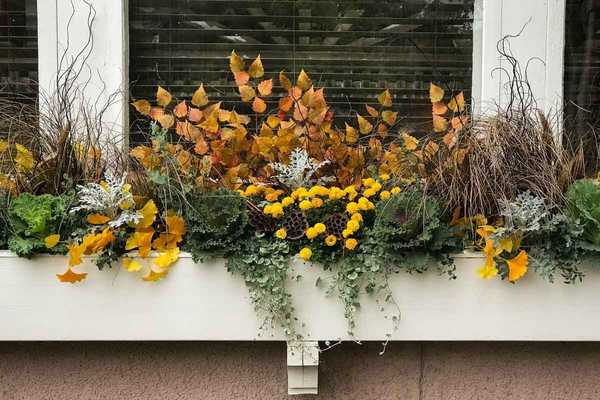 Comment transmettre des pots de fleurs de l'été à l'automne