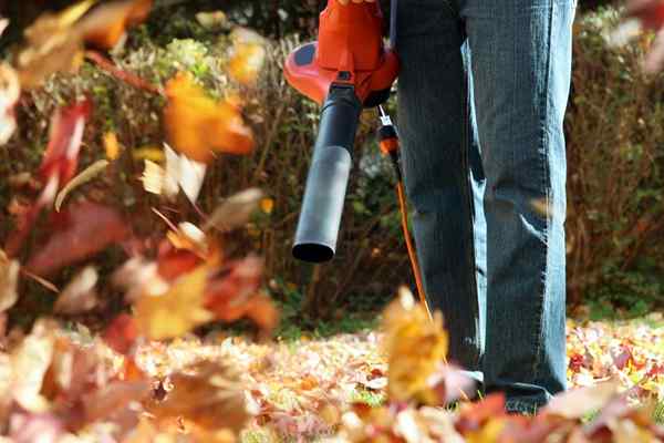 Comment utiliser un souffleur de feuilles