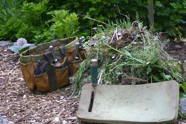 Wie Sie Ihren Garten jagen können