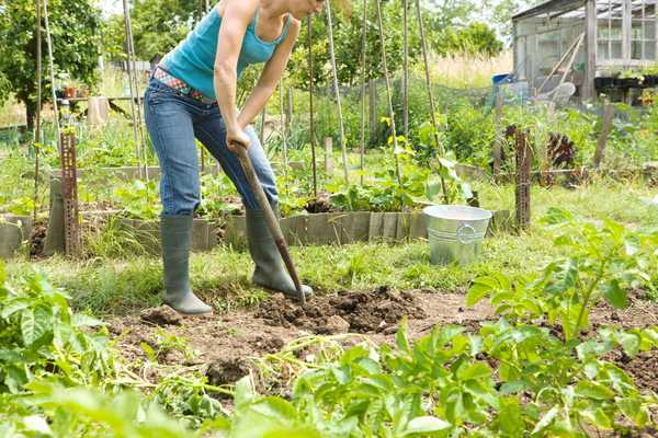 Ist ein DIY -Training besser als ins Fitnessstudio zu gehen?