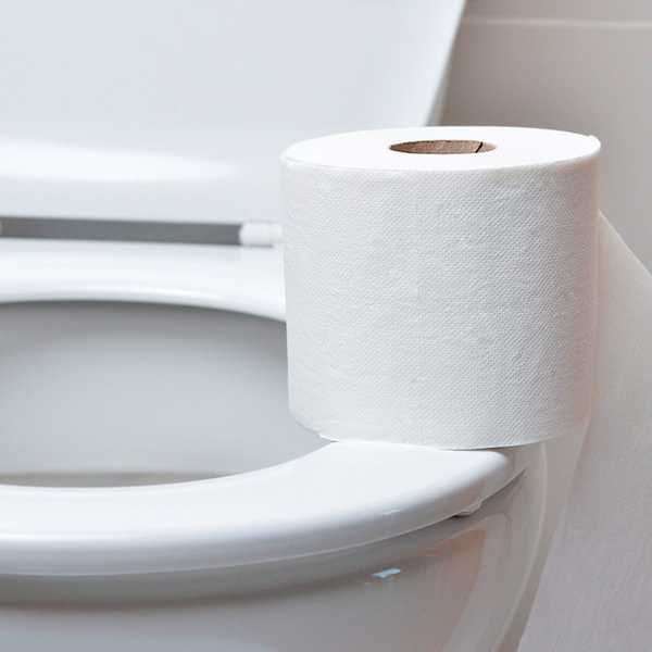 Le papier toilette coûteux est-il vraiment mauvais pour vos toilettes?