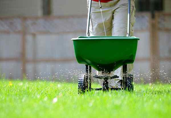 Paisajismo bajo comprensión de los diferentes tipos de fertilizantes