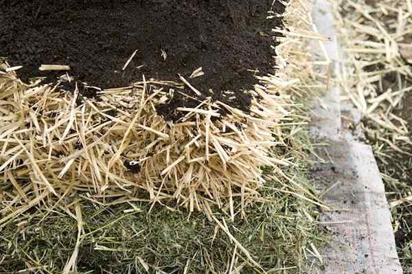 Lasagne Gartenarbeit Es ist nur ein bisschen wie es sich anhört