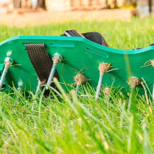 Buty aeratorowe trawnika naprawdę działają?