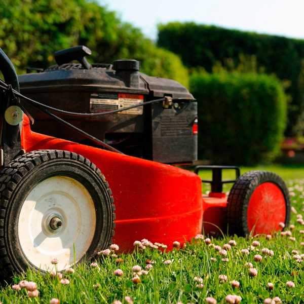 Pemotongan rumput dan tidak boleh mengelakkan kerosakan rumput