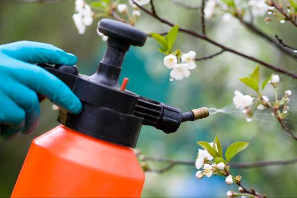 Penyembur rumput apa yang perlu diketahui sebelum anda membeli