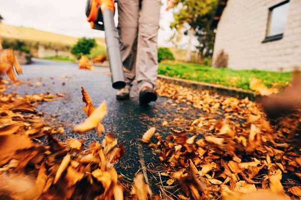 Guide d'achat de souffleurs à feuilles