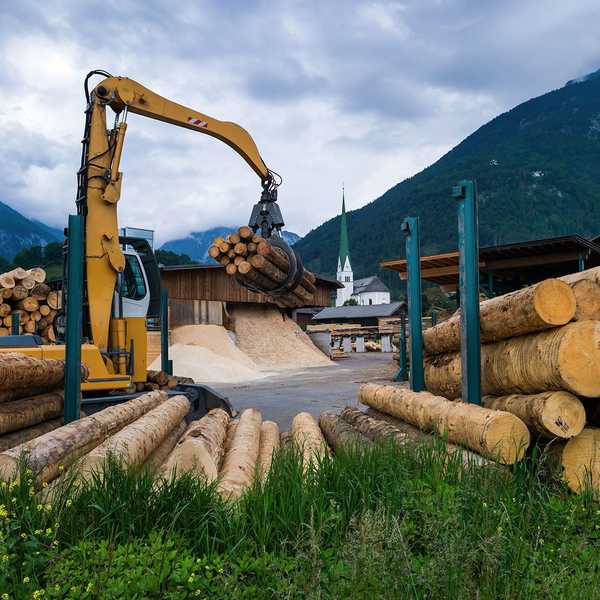 Les prix du bois ont atteint un sommet de deux ans en juillet
