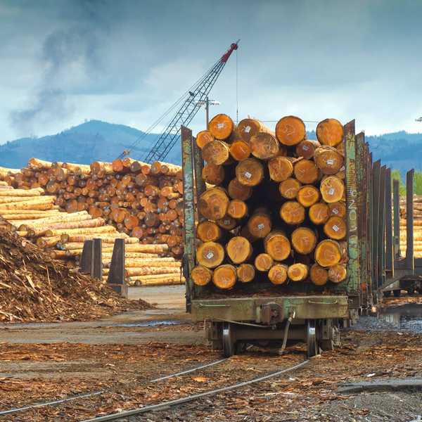 Holzpreise steigen trotz Bundesmaßnahmen gegen Zölle wieder an