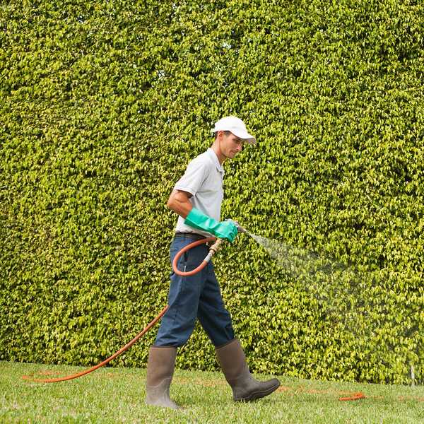 Iniciativa nacional formada para ajudar pequenas empresas de cuidados com o gramado a crescer