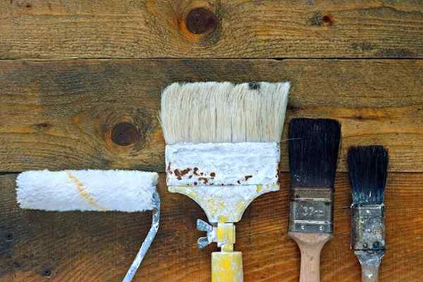 Paint dan Finishing Brushes