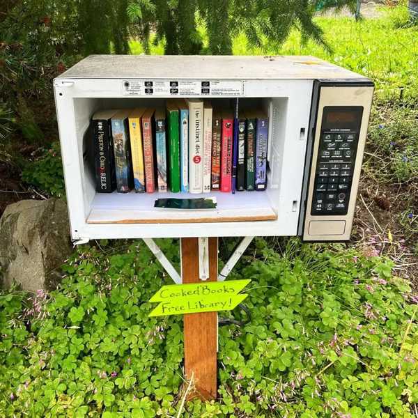 Losowe rzeczy, które możesz zmienić w małe bezpłatne biblioteki