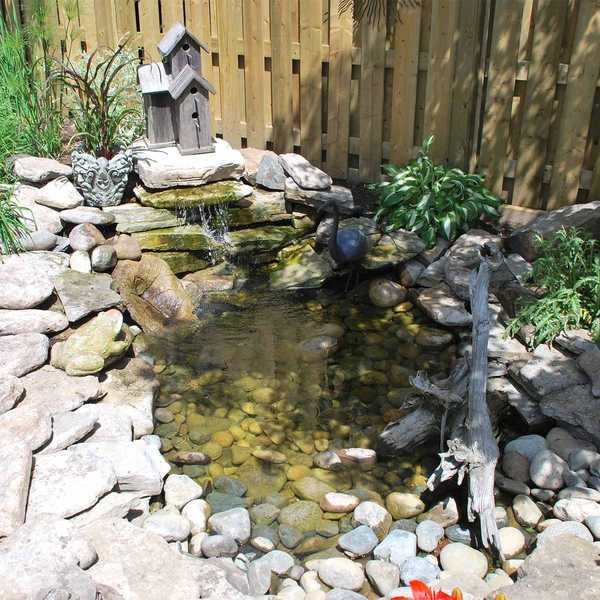 Backyard Pond du projet de lecteur