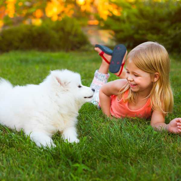 Consejos seguros de paisajismo para familias con niños y mascotas