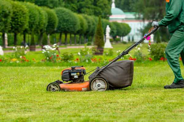 Propelled vs diri sendiri. Push Mower Apa bedanya?