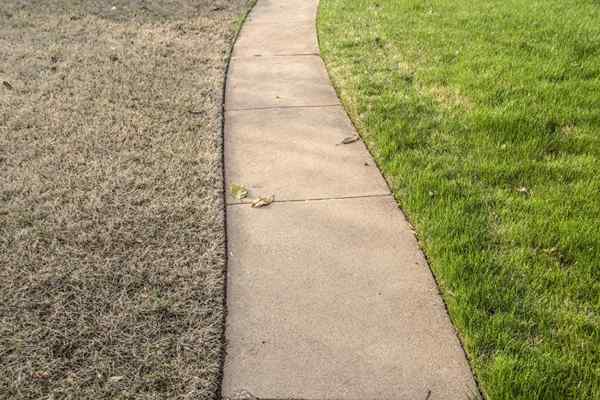 Résolu! La meilleure herbe résistante à la sécheresse pour les étés secs