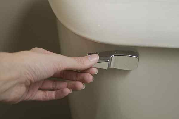 Résolu! Ce que cela signifie quand vos toilettes sifflent