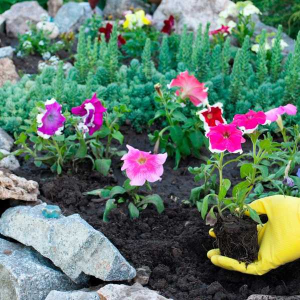 Formas súper inteligentes de usar piedras de cama de flores en tu paisaje