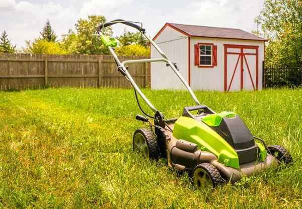 Las 5 cosas que deben saber antes de comprar una cortadora de baterías