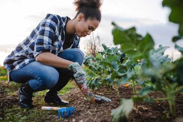 Die 6 Arten von Boden für Ihren Garten