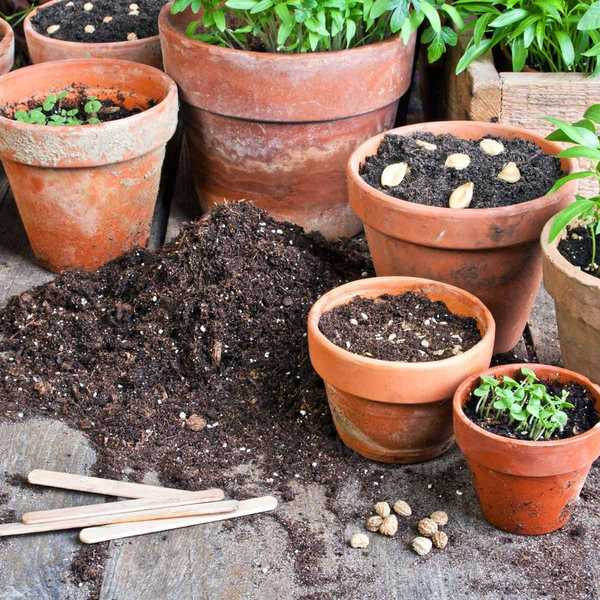 Les 7 do et à ne pas faire des conteneurs de jardin