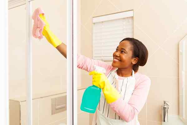 Los mejores limpiadores de ducha para un baño de limpieza chirriante