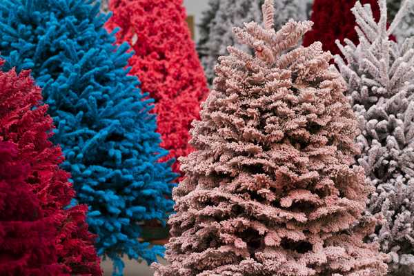 Warna pokok Krismas yang terkini mungkin mengejutkan anda