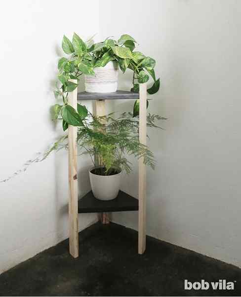 O suporte de planta de bricolage perfeito para qualquer canto vazio