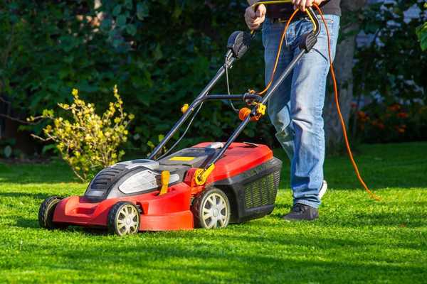 Conseils pour passer aux soins de la pelouse électrique