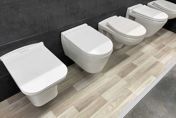 Toilettenkaufanleitung Toilettentypen und Spülensysteme