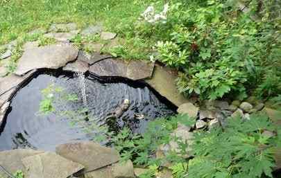 Petua teratas untuk memasang kolam belakang rumah kecil