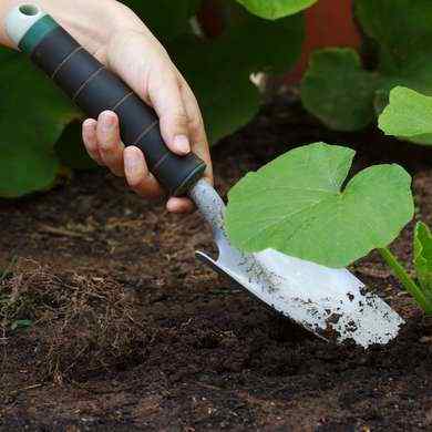 Video Die klügsten Gartenhacks