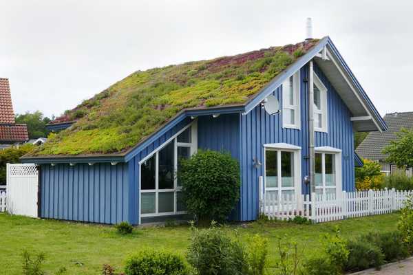 Qu'est-ce qu'un toit vert?