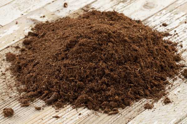 ¿Qué es Sphagnum Peat Moss y cómo lo uso??