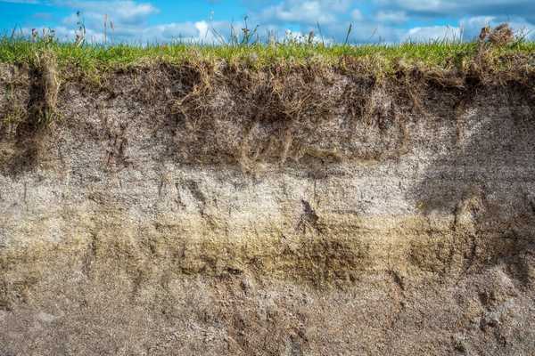 Qu'est-ce que le sous-sol et comment cela aide un jardin?