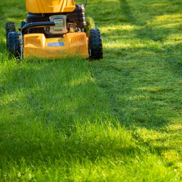 Quelle est la meilleure hauteur pour couper l'herbe?