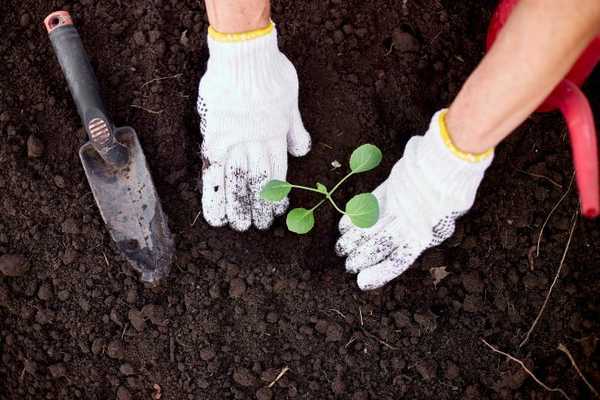 ¿Qué significa el color de su suelo de jardín?