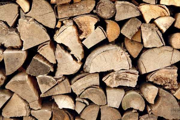 Was über Ofen mit Brennholz wissen zu wissen