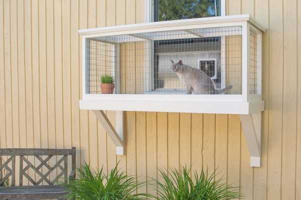 ¿Qué es un catio y por qué querría uno??