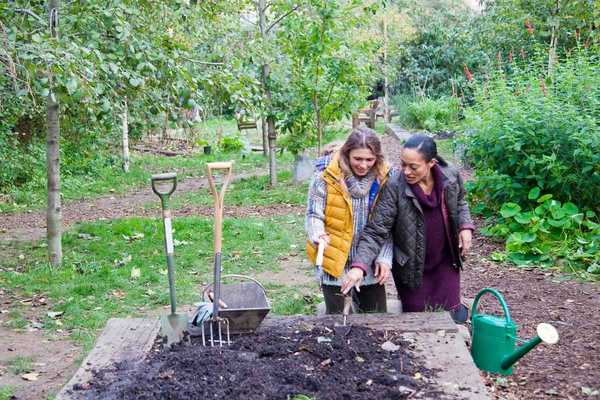 Wann Sie Ihr Gemüse für Herbst und Winter pflanzen sollen