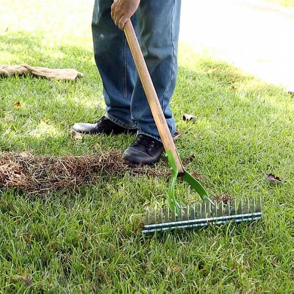 Bila, mengapa dan berapa kerap untuk menghancurkan rumput anda