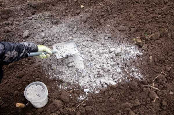 Mengapa Anda harus menggunakan abu kayu di taman