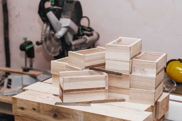 Holzbearbeitung, was über Aschenholz wissen sollte