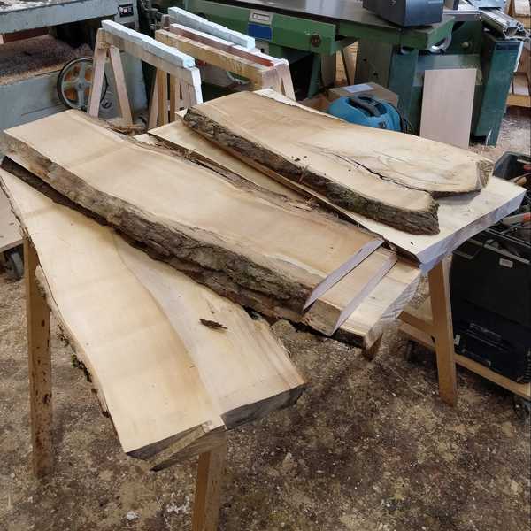 Holzbearbeitung, was man über Ahornholz wissen sollte