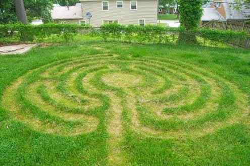 Zen et l'art des mauvaises herbes