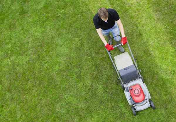 6 hal yang perlu diketahui tentang striping rumput